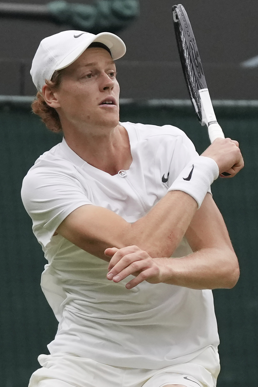 毛球爱好者 毛球爱好者