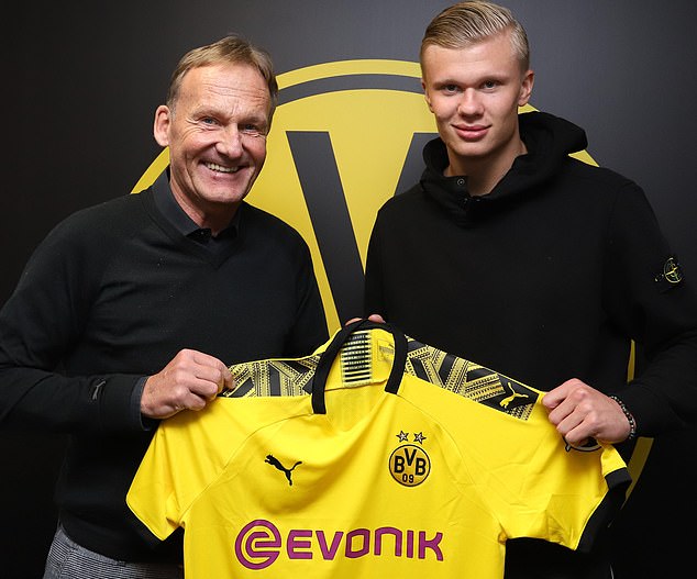 的迪马尔科 的迪马尔科